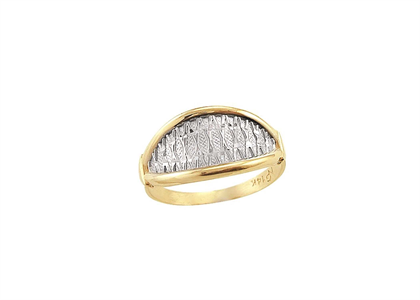 Two Tone Plated Mens Ring